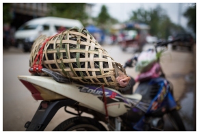 Interesting pig transportation system.. Luang Prabang, Laos. 5D Mark III | 35mm 1.4 Art