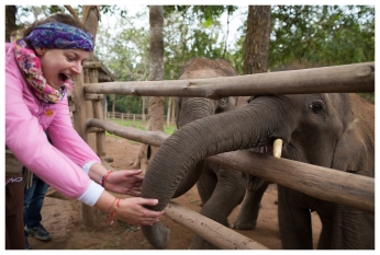 Who doesn't like baby elephants? Laos. 5D Mark III | 24mm 1.4 Art