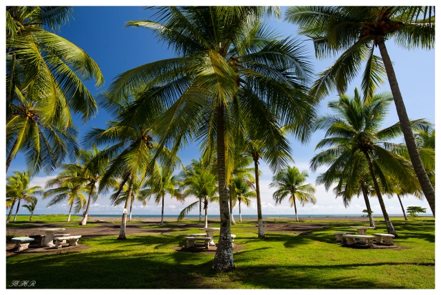 Clandestino Beach Resort, Costa Rica. 5D Mark III | 12-24mm f4.0 Art