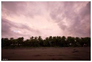 Clandestino Beach Resort, Costa Rica. 5D Mark III | 12-24mm f4.0 Art